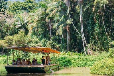 Tropical Fruit World Farm Full Tour