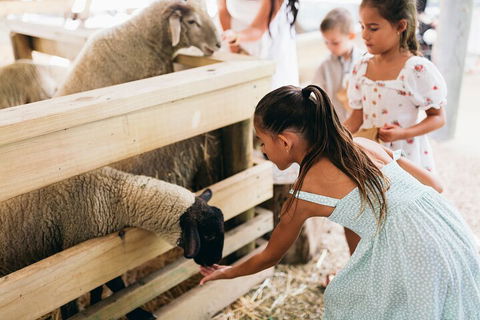 Tropical Fruit World Farm Full Tour - Restaurant Gold Coast 1