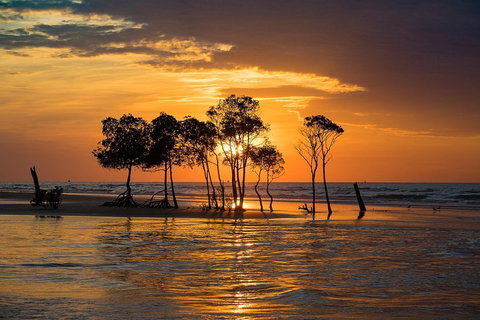 Delightful Darwin Self-Guided Audio Tour - Restaurant Gold Coast 3