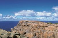 4 Day Tour Albany Margaret River Valley of the Giants TreeTop Walk from Perth