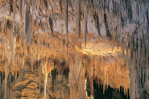 Margaret River, Caves, Wine And Cape Leeuwin Lighthouse Tour From Perth - Restaurant Gold Coast 3