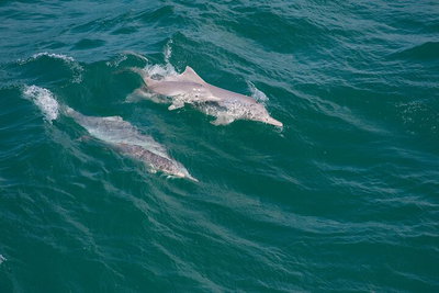 North Stradbroke Island Private Tour with Pickup