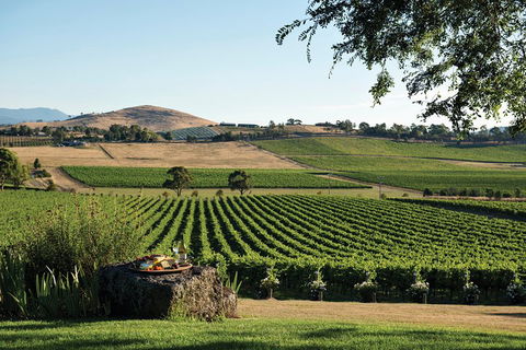 Yarra Valley 2-6 Guests Premium Food And Wine Inc Lunch At Dominique Portet - Restaurant Gold Coast 2