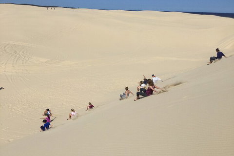 Port Stephens Bush, Beach And Sand Dune 4WD Passenger Tour - Restaurant Gold Coast 4