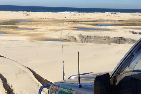 Port Stephens Bush, Beach And Sand Dune 4WD Passenger Tour - Restaurant Gold Coast 5
