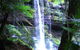 Mt Field National Park And Russell Falls From Hobart - thumb 0