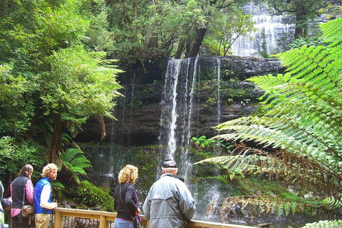 Mt Field National Park And Russell Falls From Hobart - Restaurant Gold Coast 1