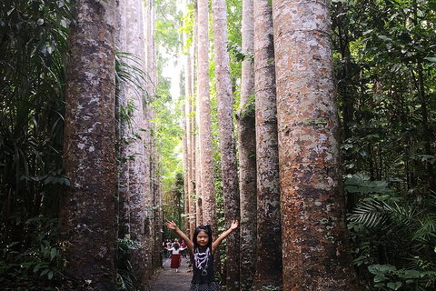 Private Tour To Paronella Park, Historic Village Herberton And Wild Life Wallaby - Restaurant Gold Coast 2