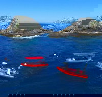 3-Hour Byron Bay Certified Scuba Diving Tour - Restaurant Gold Coast