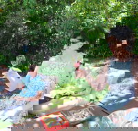 Deluxe Winery Tour to Tamborine Mountain includes gourmet two course lunch - Restaurant Gold Coast