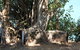 Darwin Walking Tour: World War II Reflections - thumb 3
