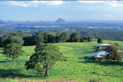 Full Day Sunshine Coast Hinterland Luxury Small Group Tour From Brisbane - Restaurant Gold Coast 2