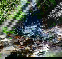 Full Day Small Group Luxury Tour to Tamborine Mountain - Restaurant Gold Coast