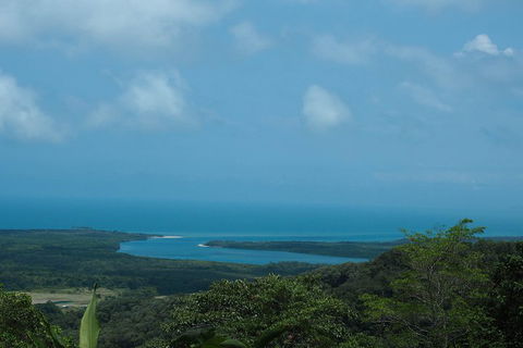 Cape Tribulation, Daintree Rainforest And Wildlife Tour - Restaurant Gold Coast 1
