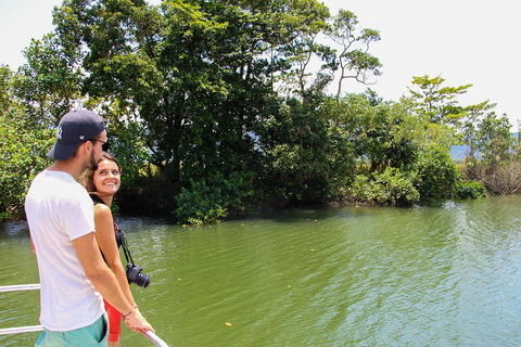 Cape Tribulation, Daintree Rainforest And Wildlife Tour - Restaurant Gold Coast 2