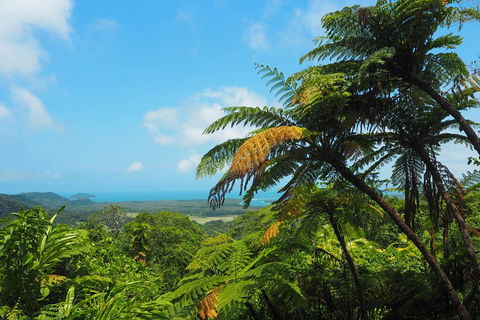 Cape Tribulation, Daintree Rainforest And Wildlife Tour - Restaurant Gold Coast 3