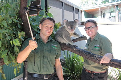 Virtual Interactive Australian Wildlife Tour With Private Guide-Wildlife Habitat
