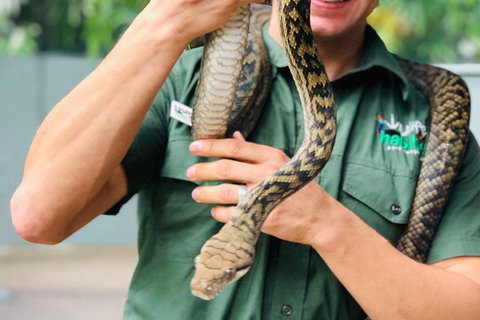Virtual Interactive Australian Wildlife Tour With Private Guide-Wildlife Habitat - Restaurant Gold Coast 1