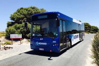 Rottnest Bayseeker Bus Tour from Hillarys Boat Harbour, Perth