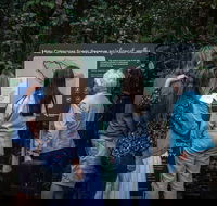 Sunshine Coast Hinterland and Noosa Day Trip from Brisbane Including Eumundi Markets and Ginger Factory - Restaurant Gold Coast