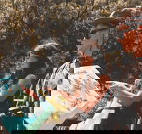 Springbrook andTamborine Rainforest Tour Incl Natural Bridge and Glow Worm Cave - Restaurant Gold Coast