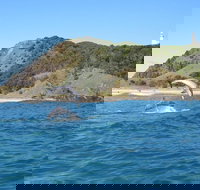 Kayaking with Dolphins in Byron Bay Guided Tour - Restaurant Gold Coast