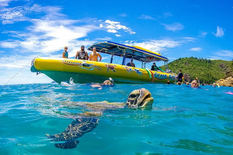 Great Barrier Reef Scenic Flight And Ocean Rafting Whitehaven Beach Day Trip - Restaurant Gold Coast 1