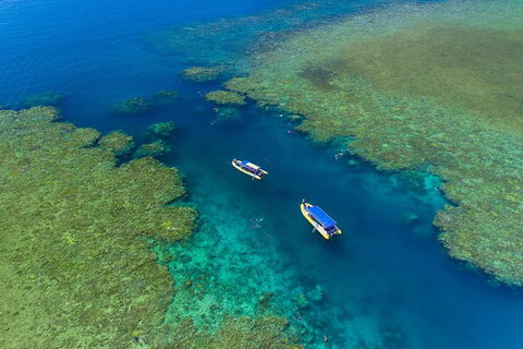 Great Barrier Reef Scenic Flight And Ocean Rafting Whitehaven Beach Day Trip - Restaurant Gold Coast 4