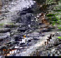Full-Day Canyoning Experience at Stunning Empress Canyon - Restaurant Gold Coast