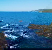 Julian Rocks Byron Bay Cruise - Restaurant Gold Coast