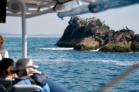Julian Rocks Byron Bay Cruise - Restaurant Gold Coast 2