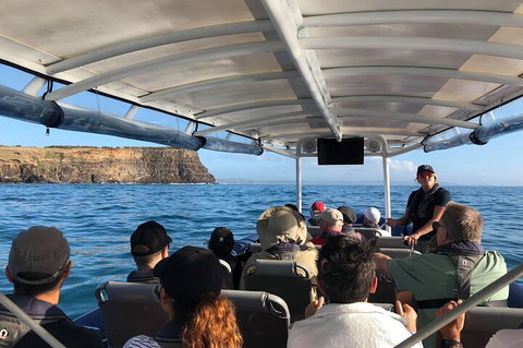 Julian Rocks Byron Bay Cruise - Restaurant Gold Coast 4