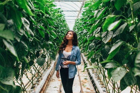 Yarra Valley Local Produce And Wine Tasting Tour - Restaurant Gold Coast 0