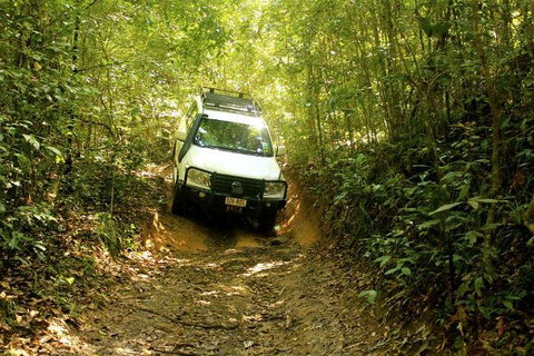 Barron Gorge And Kuranda National Park Half Day Rainforest And Waterfall 4WD Tour From Cairns - Restaurant Gold Coast 2