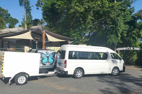 Airport Transfer To Or From Cairns Hotels For Up To 13 People - Restaurant Gold Coast 4