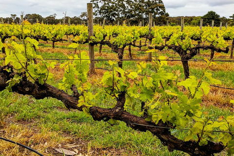 Margaret River Indulge And Discover Day Tour - Restaurant Gold Coast 5