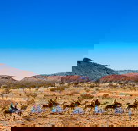 Alice Springs Camel Tour - Restaurant Gold Coast
