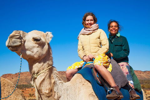 Alice Springs Camel Tour - Restaurant Gold Coast 3