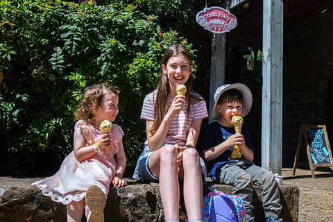 Kryal Castle Adventure Park Admission Ticket - Restaurant Gold Coast 1