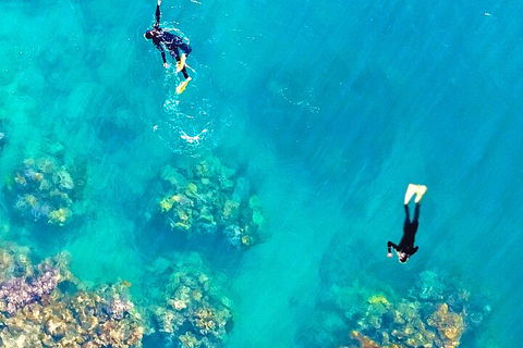 Fly & Cruise - Seaplane Package - Restaurant Gold Coast 1