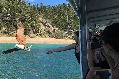 Aquascene Magnetic Island Discovery Tour - Restaurant Gold Coast 2