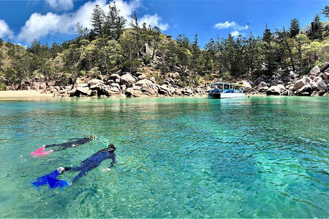 Aquascene Magnetic Island Discovery Tour - Restaurant Gold Coast 4
