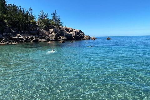 Aquascene Magnetic Island Discovery Tour - Restaurant Gold Coast 5