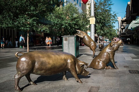 Guided Walking Tour In Adelaide - Restaurant Gold Coast 4