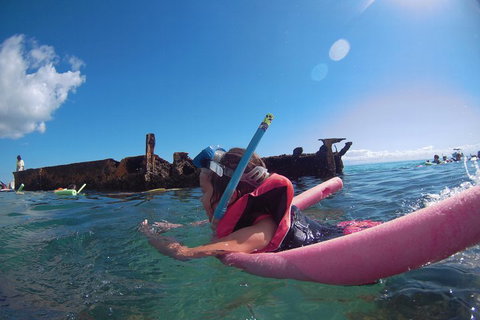 All Inclusive Dolphin And Tangalooma Wrecks Cruise - Restaurant Gold Coast 2