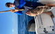 1/2 Day 5 Hour Offshore Fishing Charter - thumb 5