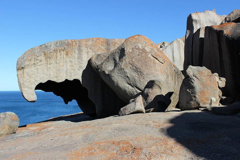 Kangaroo Island Personal Group Tours - Restaurant Gold Coast 2
