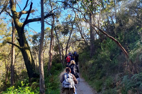 Self-Guided Waterfall Gully To Mount Lofty Hike From Adelaide - Restaurant Gold Coast 1