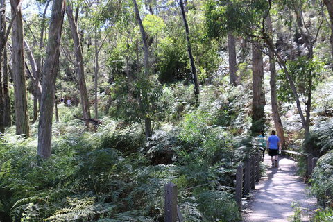Self-Guided Waterfall Gully To Mount Lofty Hike From Adelaide - Restaurant Gold Coast 2