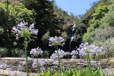 Self-Guided Waterfall Gully To Mount Lofty Hike From Adelaide - Restaurant Gold Coast 3